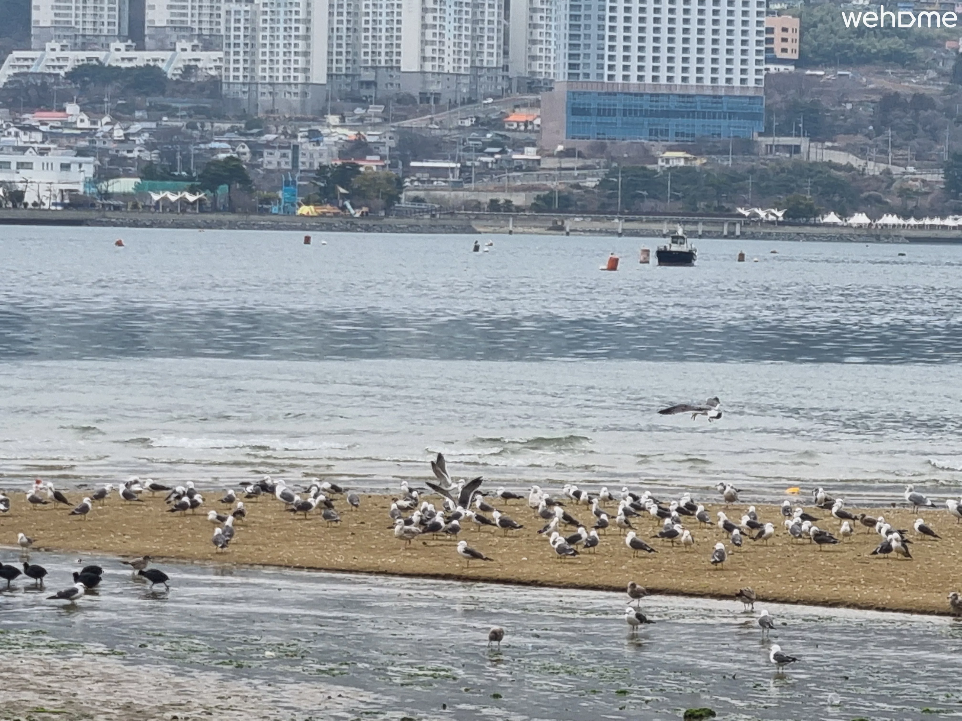 숙소 이미지 34