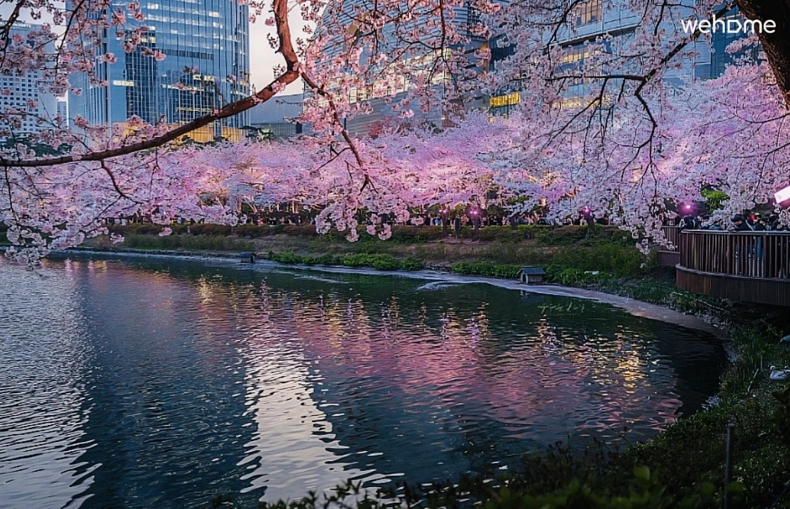 숙소 이미지 41