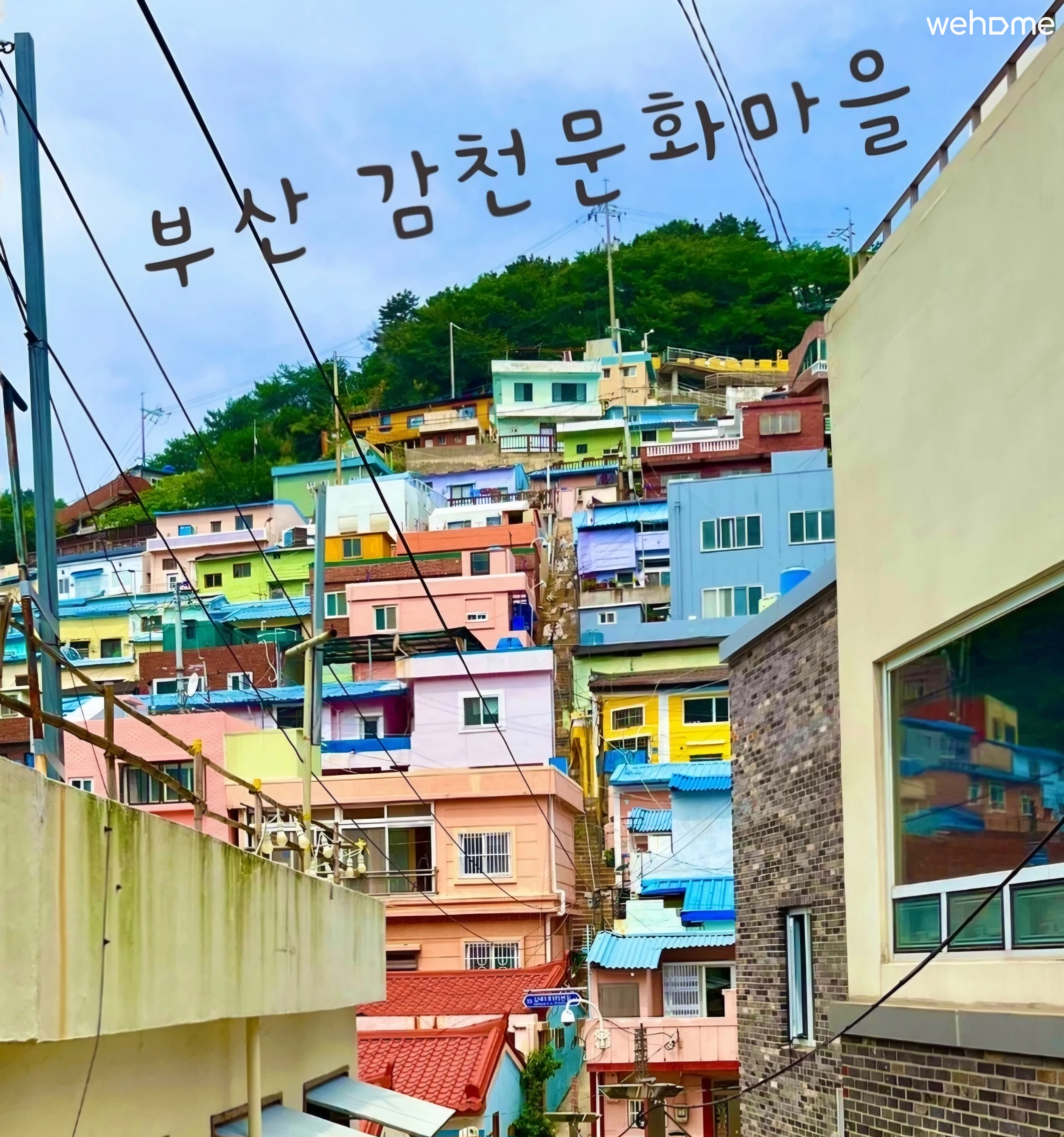 숙소 이미지 44