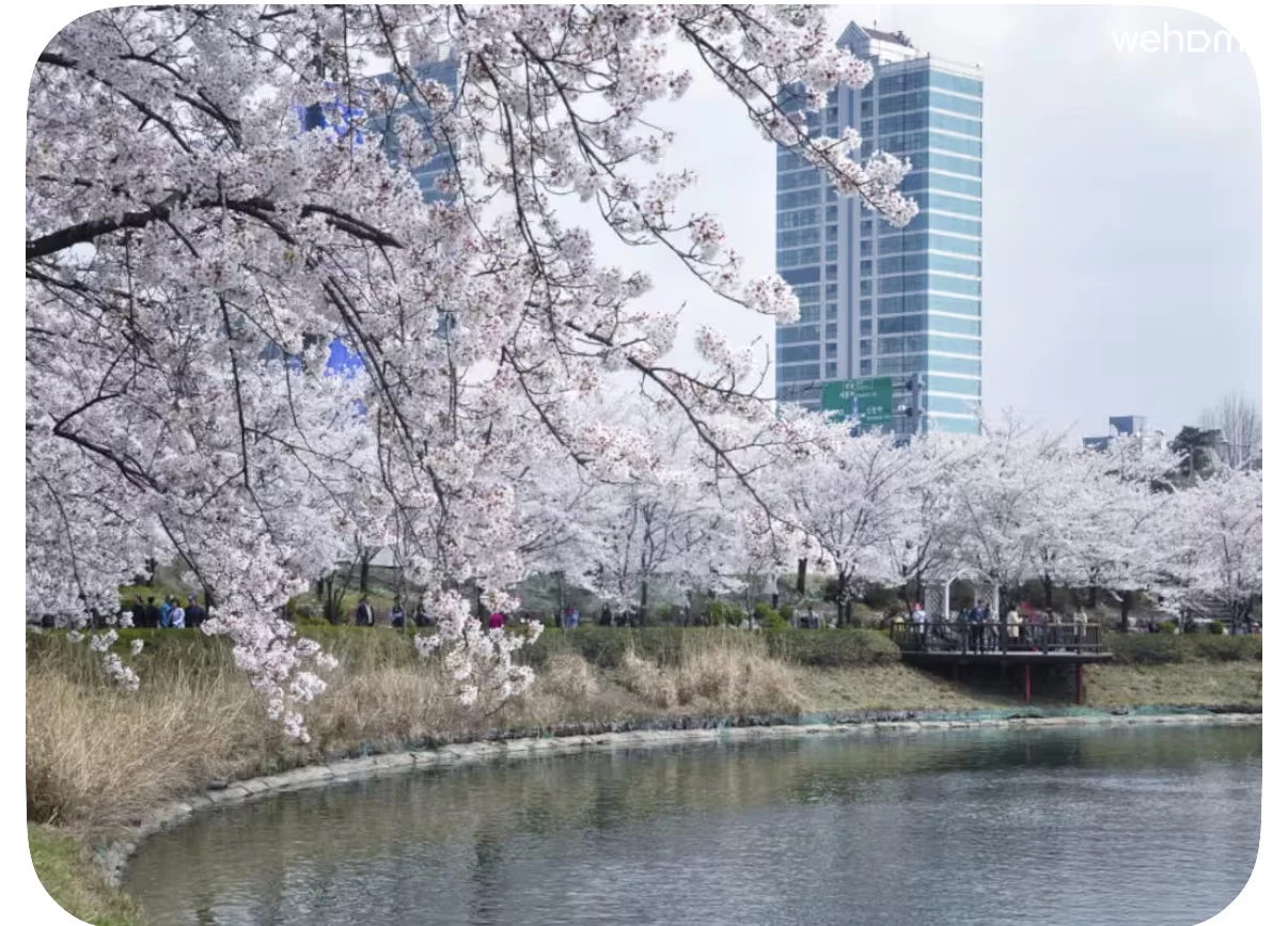 숙소 이미지 9