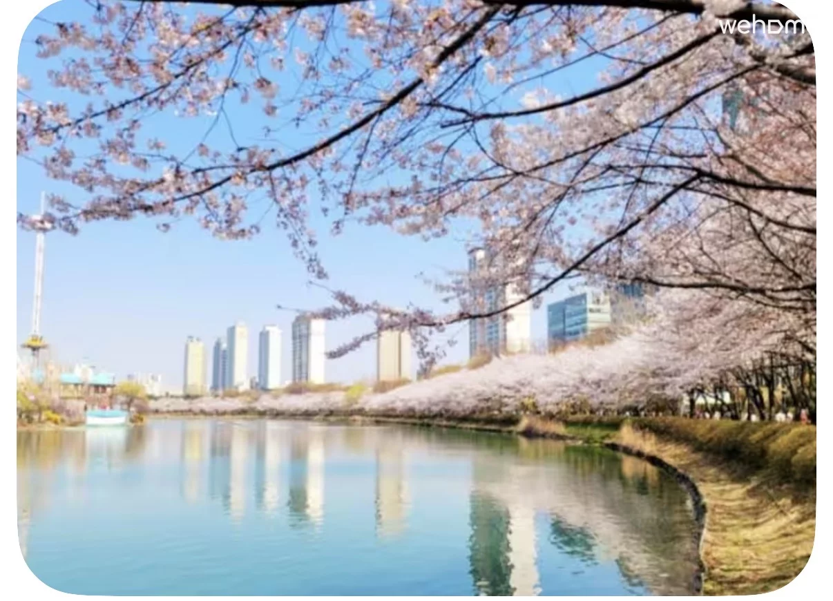 숙소 이미지 5