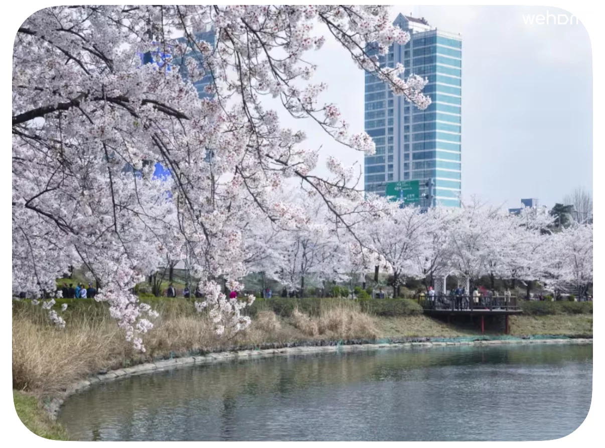 숙소 이미지 7