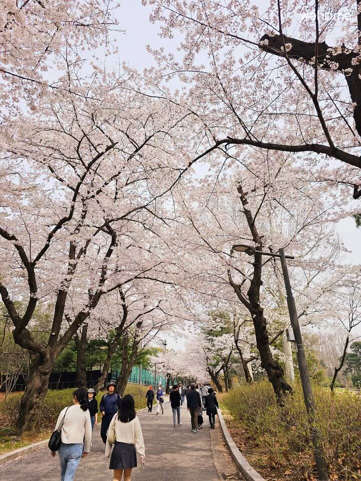 숙소 이미지 30