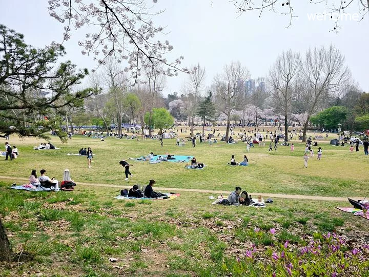 숙소 이미지 31