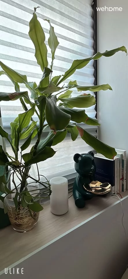 숙소 이미지 28