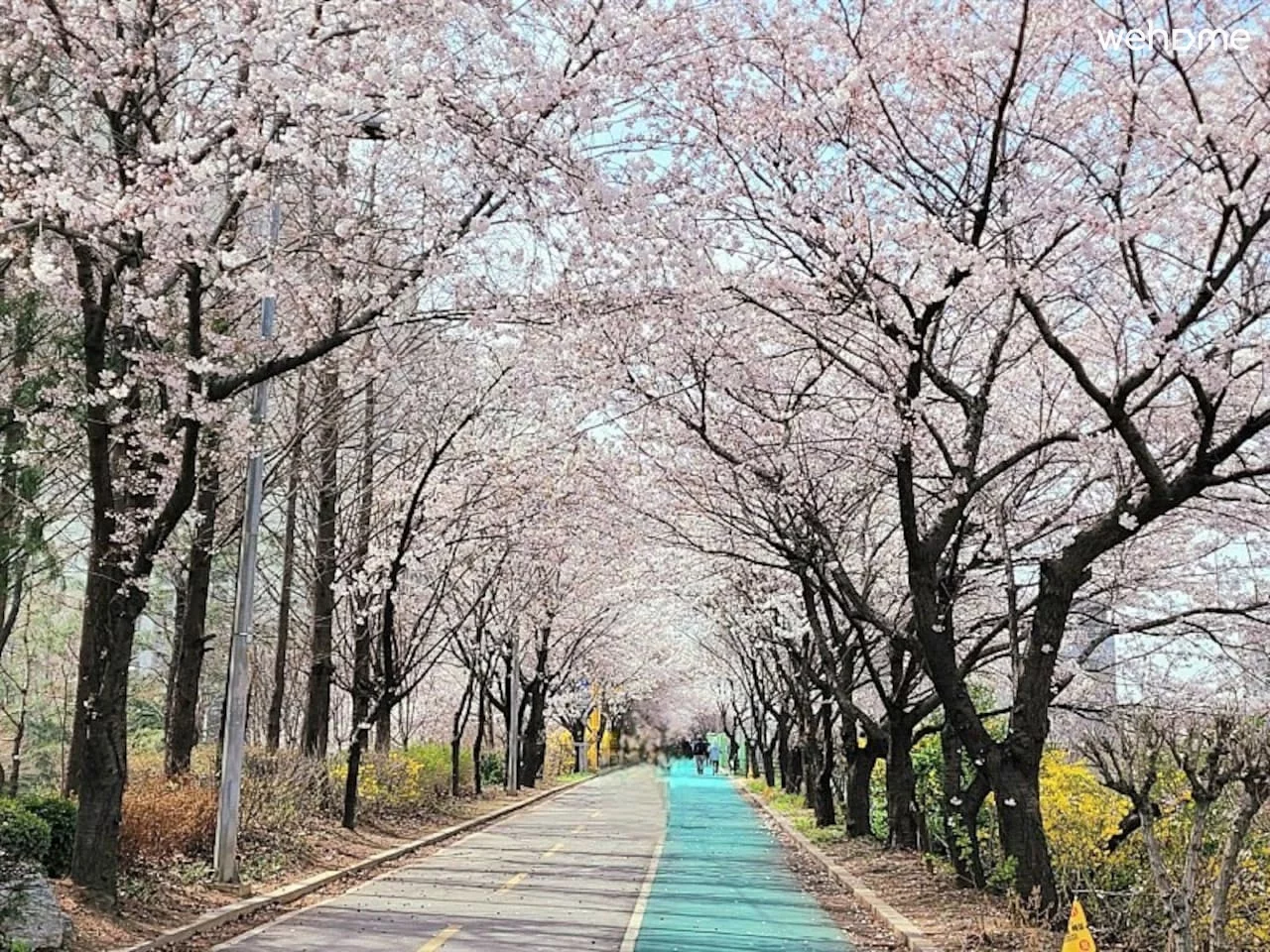 物件写真 49