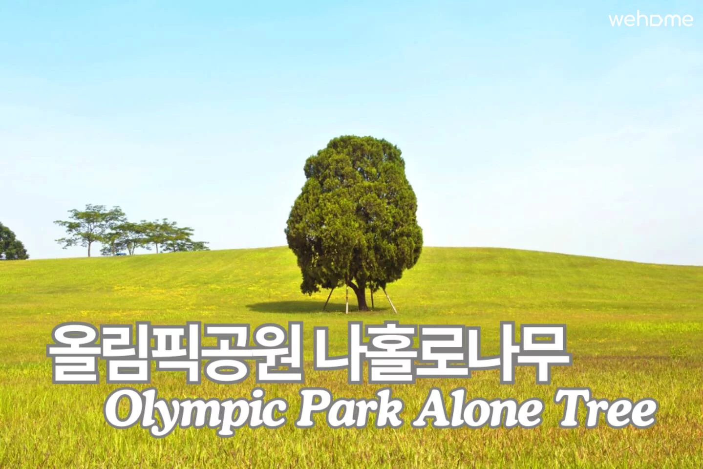 숙소 이미지 26
