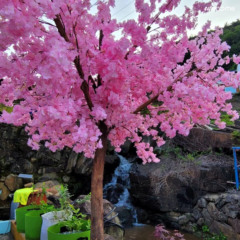 숙소 이미지 37