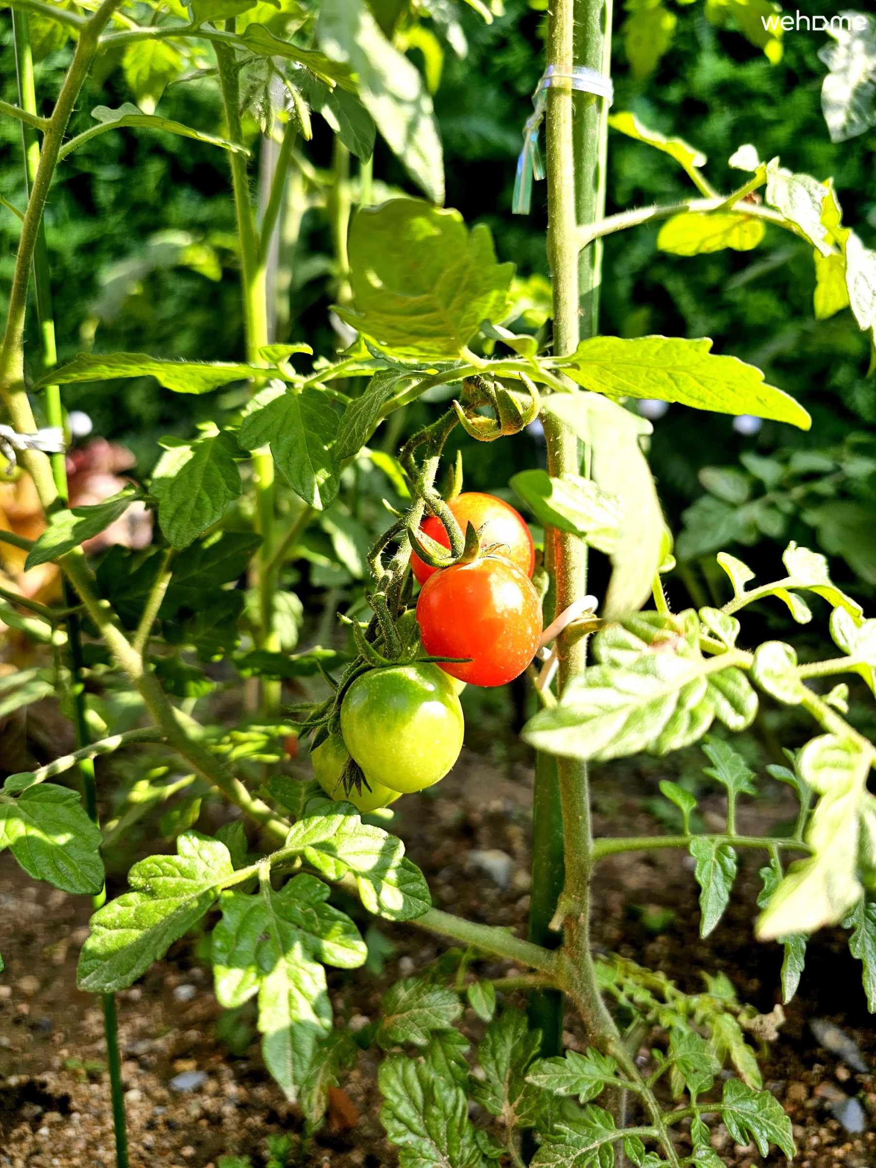 숙소 이미지 82