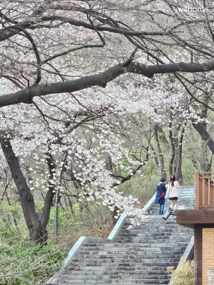 숙소 이미지 48