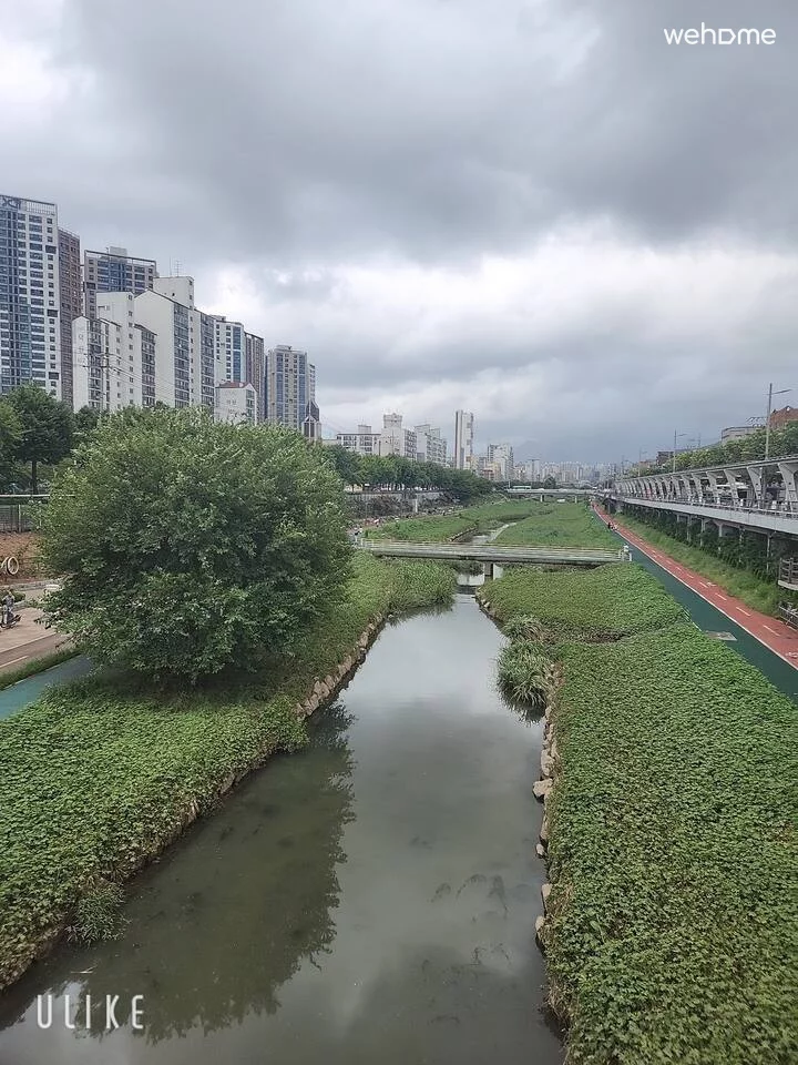숙소 이미지 81