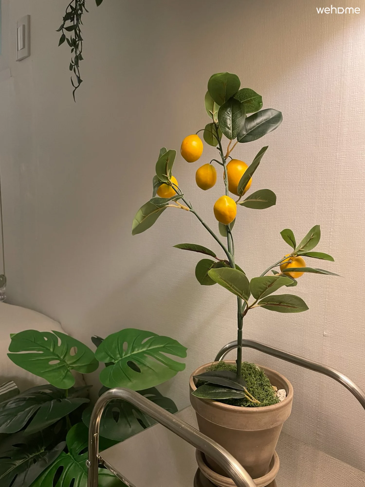物件写真 15