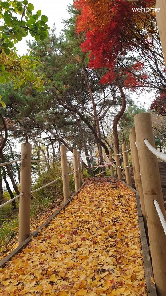 숙소 이미지 30