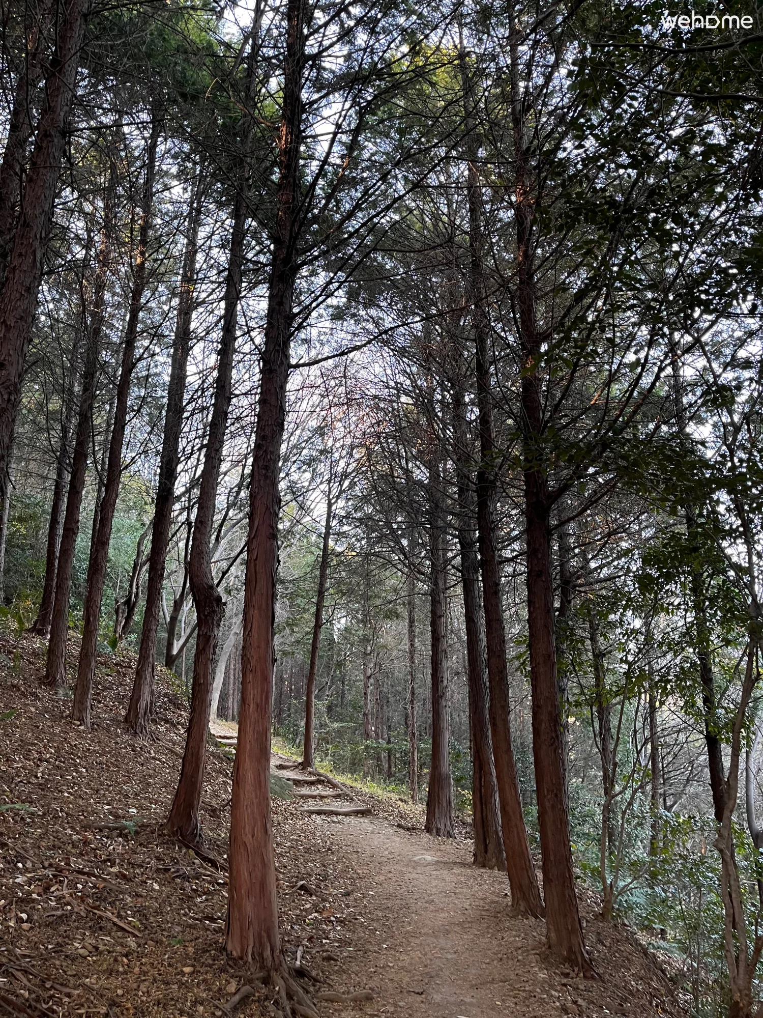 숙소 이미지 42