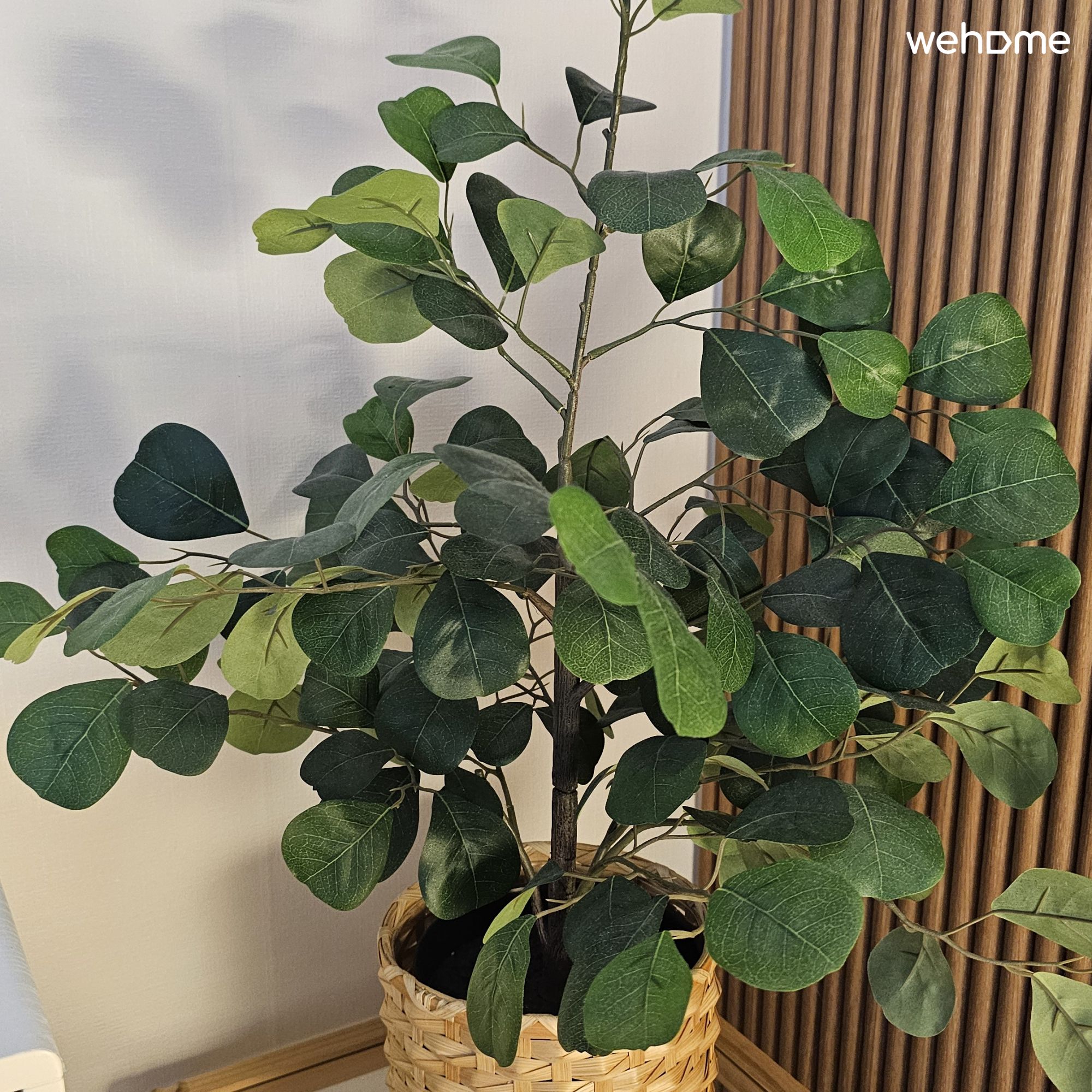 Foto properti 53