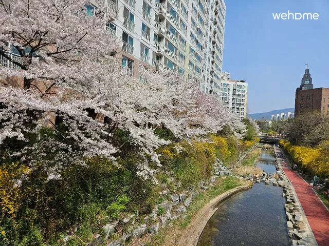숙소 이미지 12