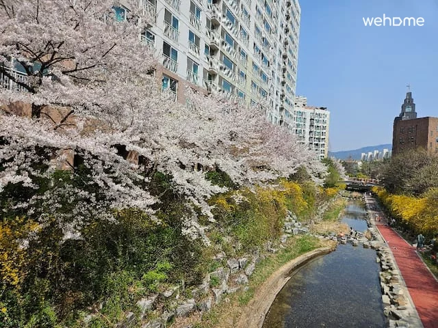 숙소 이미지 13