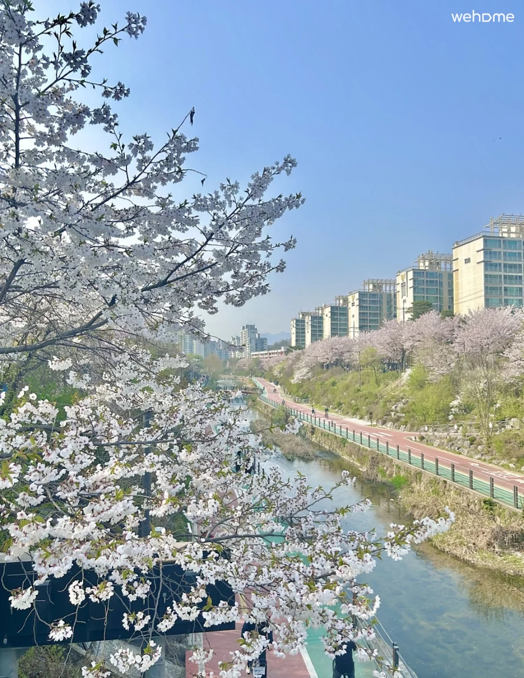 숙소 이미지 24