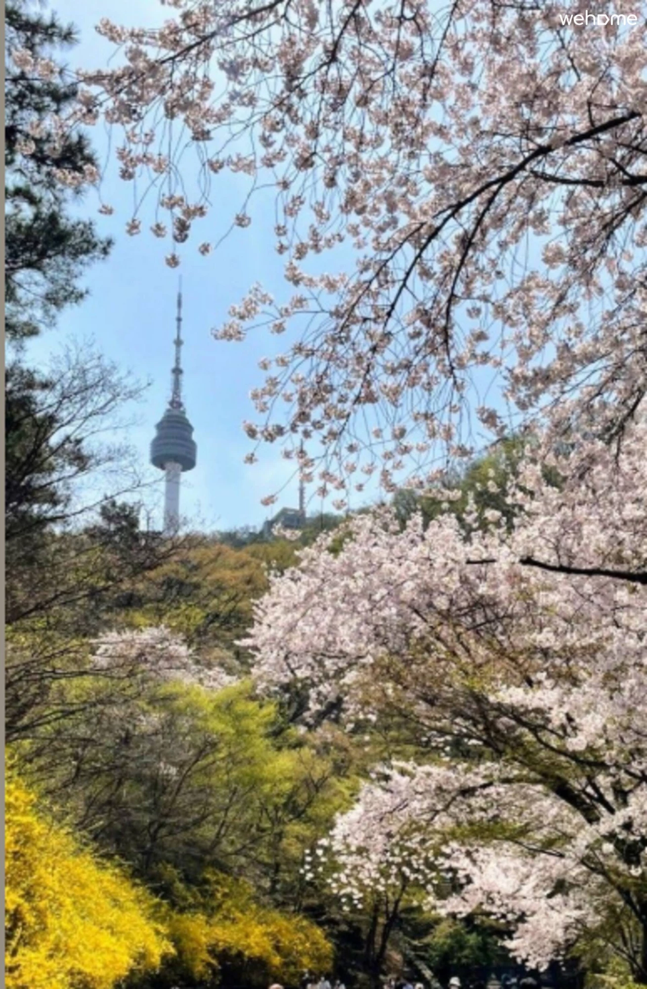 숙소 이미지 59