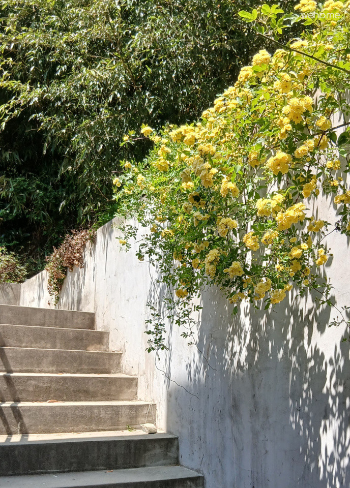 Dongsam Gamjigil House / Quiet resting place