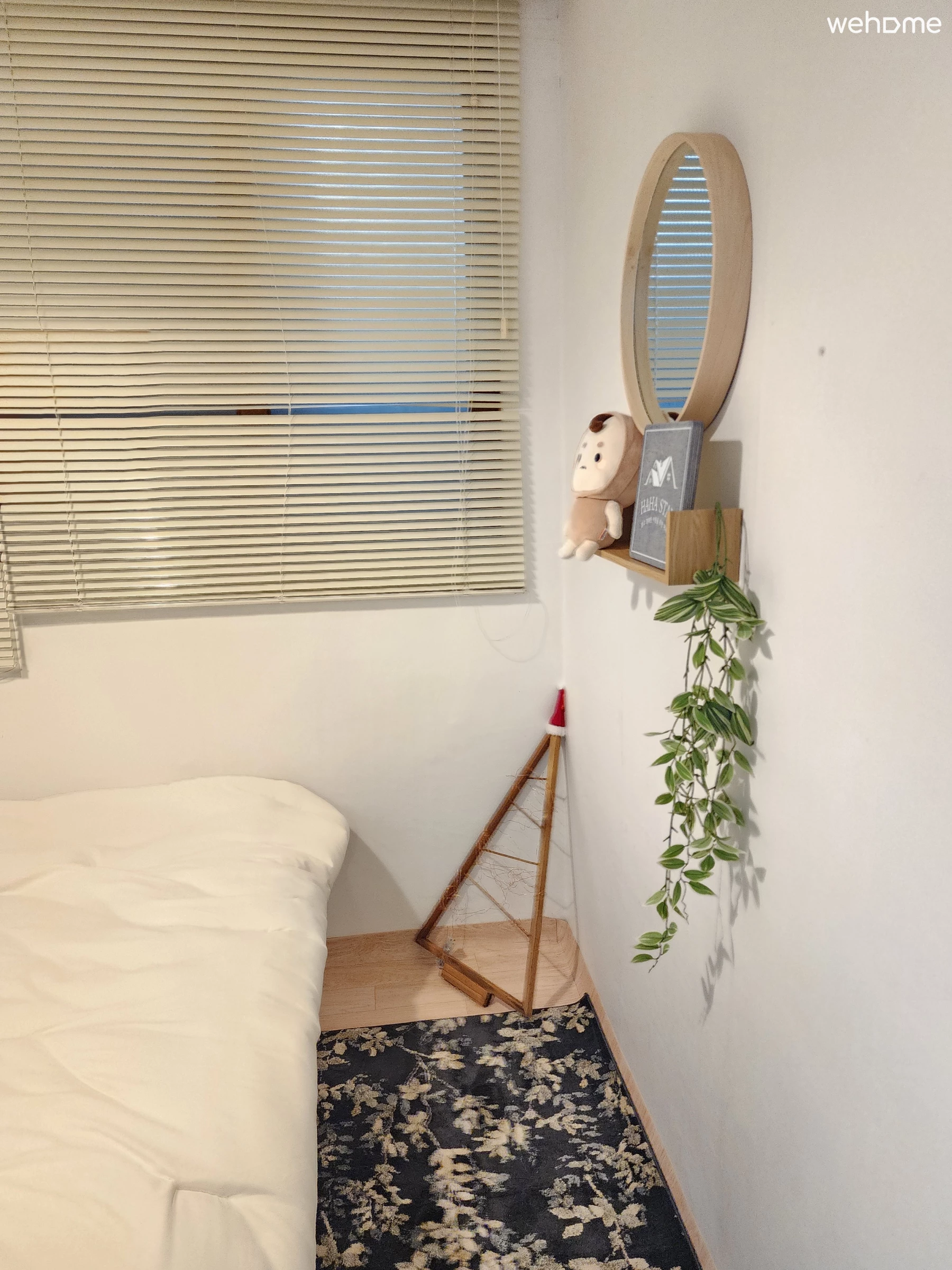 Property photo 50