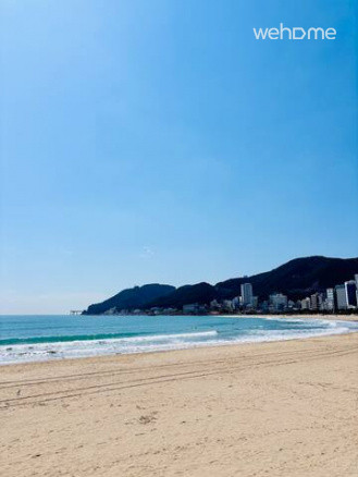 [오픈할인]@송정역4분/단독주택/마당있는집/송정 바다/해운대 블루라인파크 송정정거장