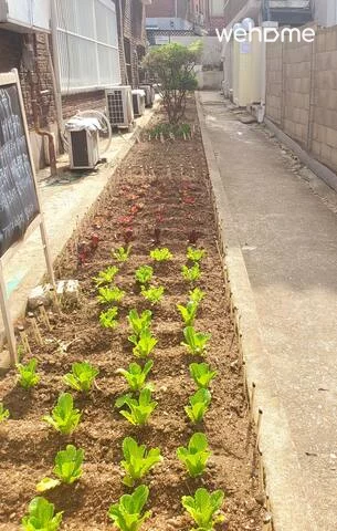 숙소 이미지 54