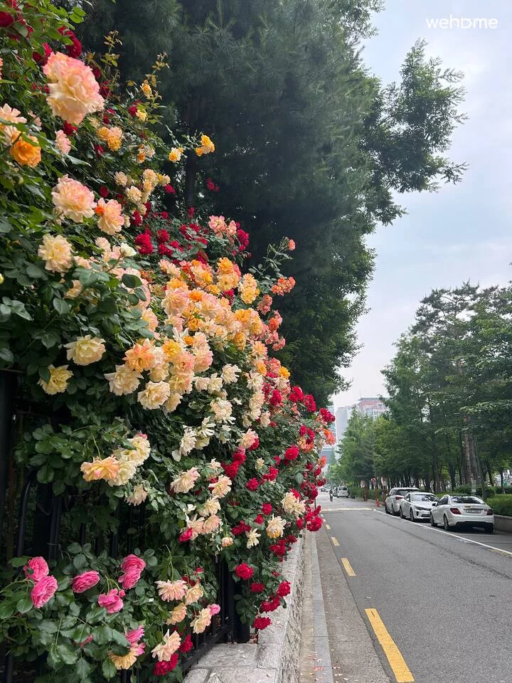 숙소 이미지 44