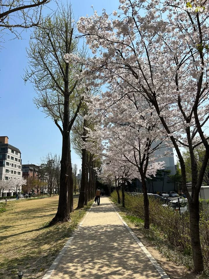 숙소 이미지 38