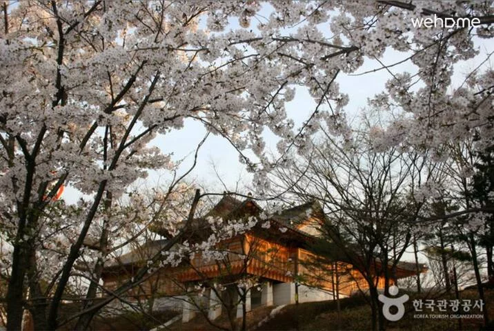 숙소 이미지 31