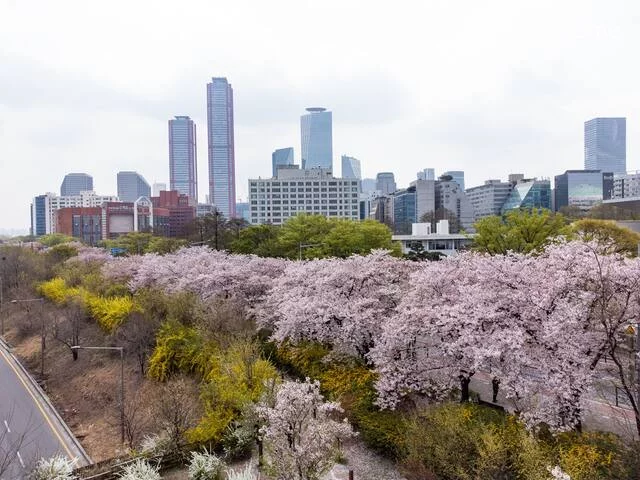 숙소 이미지 33