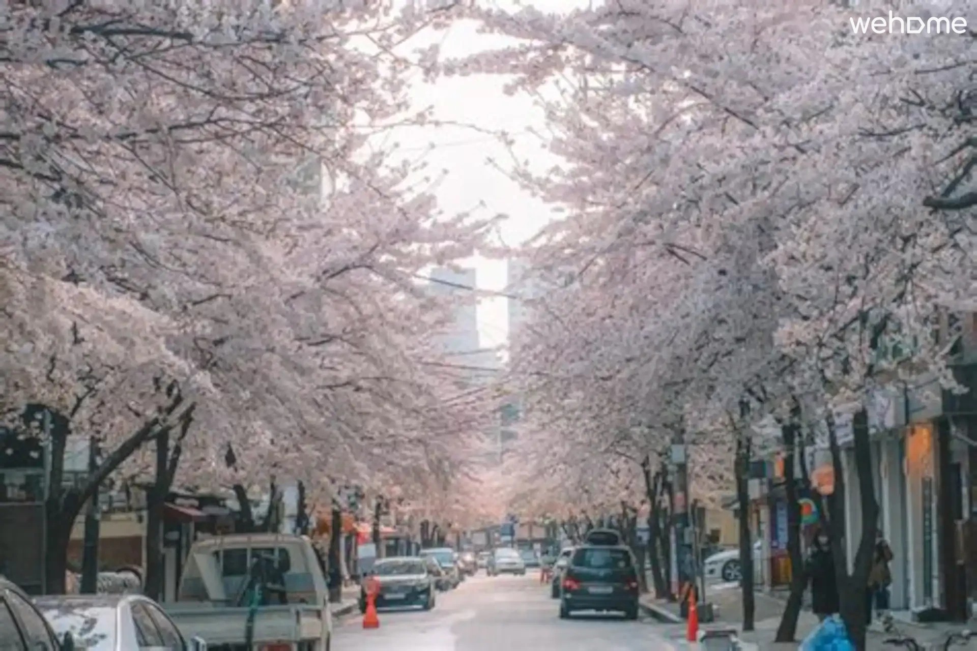숙소 이미지 74