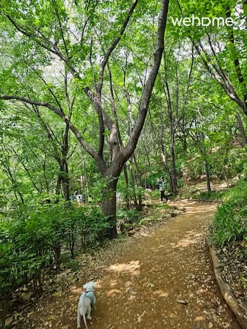 숙소 이미지 30