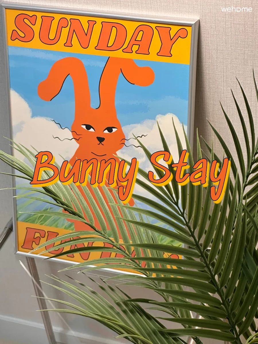 Bunny Stay