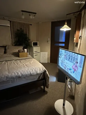 [평화와 평화]1,2,4호선/동대문 공항버스/DDP/광장시장/청계천/케데헌 낙산공원/종로,종묘,창덕궁/서울대병원