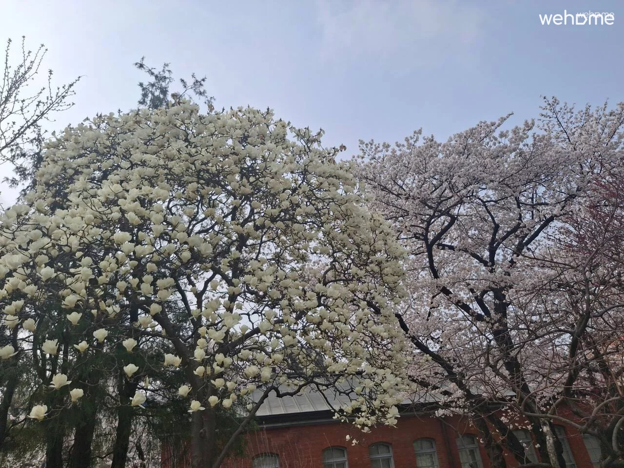 숙소 이미지 16