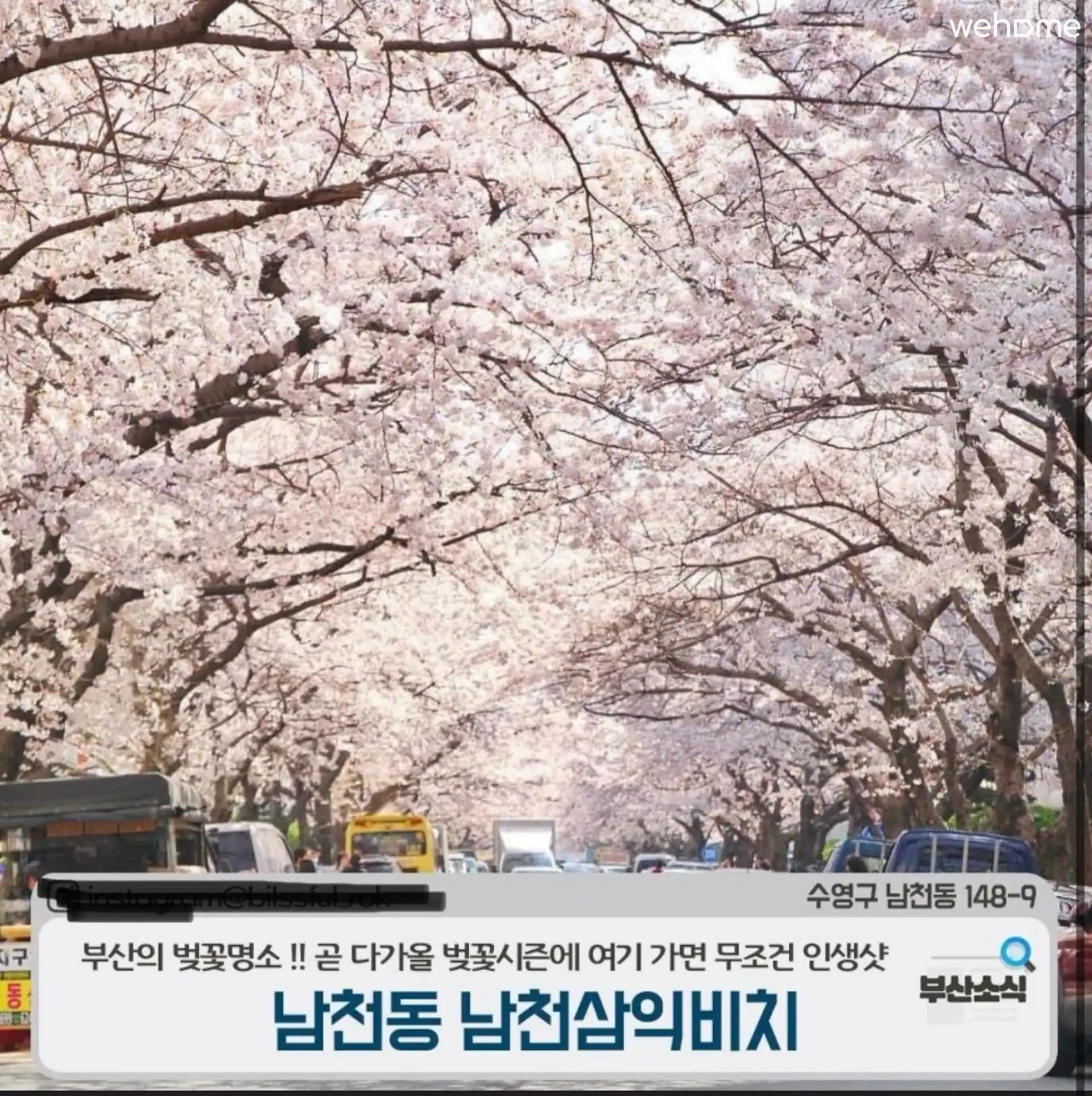 숙소 이미지 85
