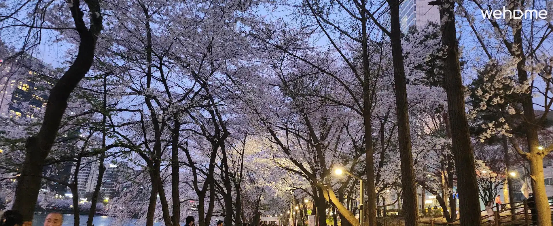 숙소 이미지 75