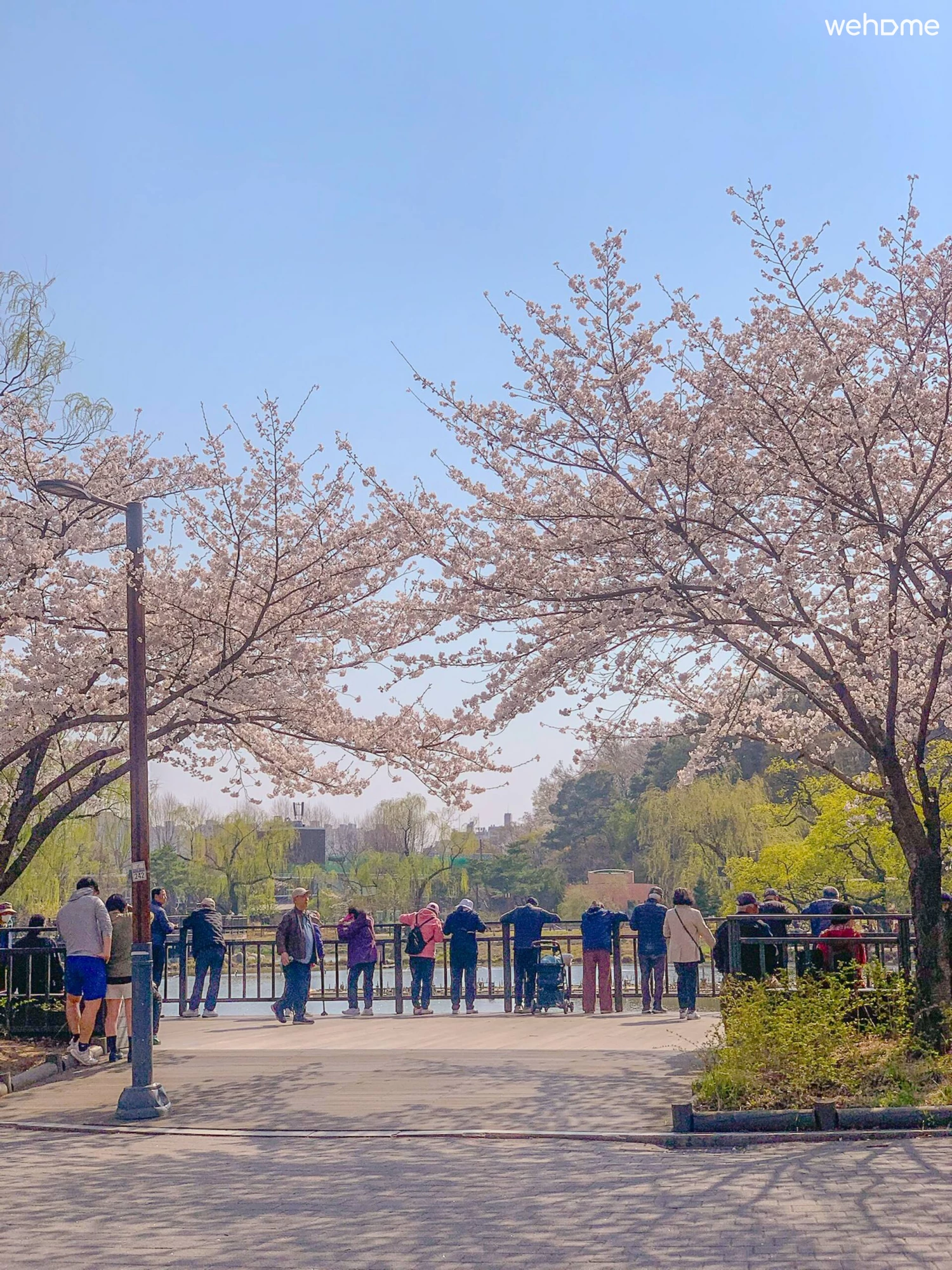 숙소 이미지 52