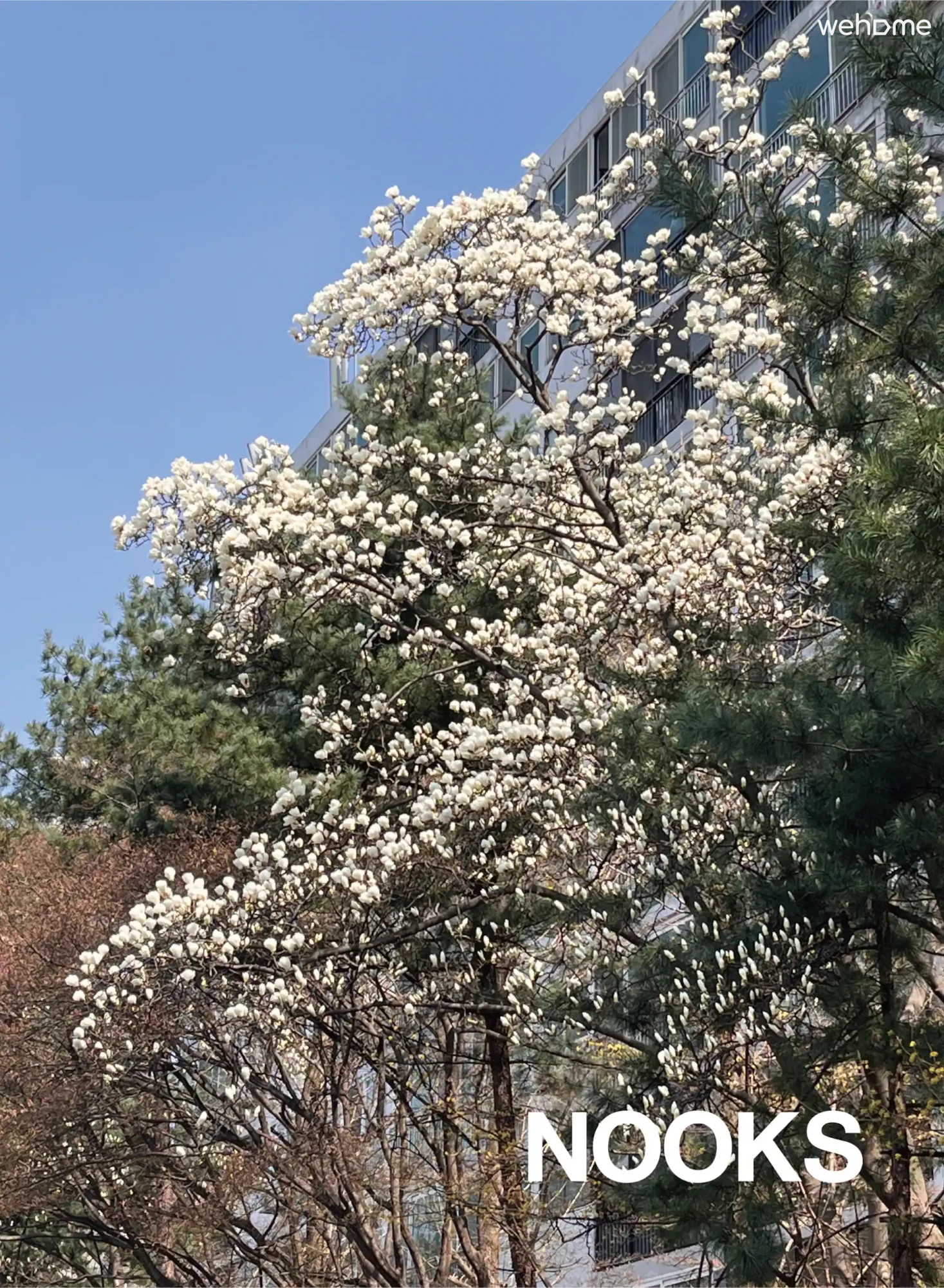 숙소 이미지 32