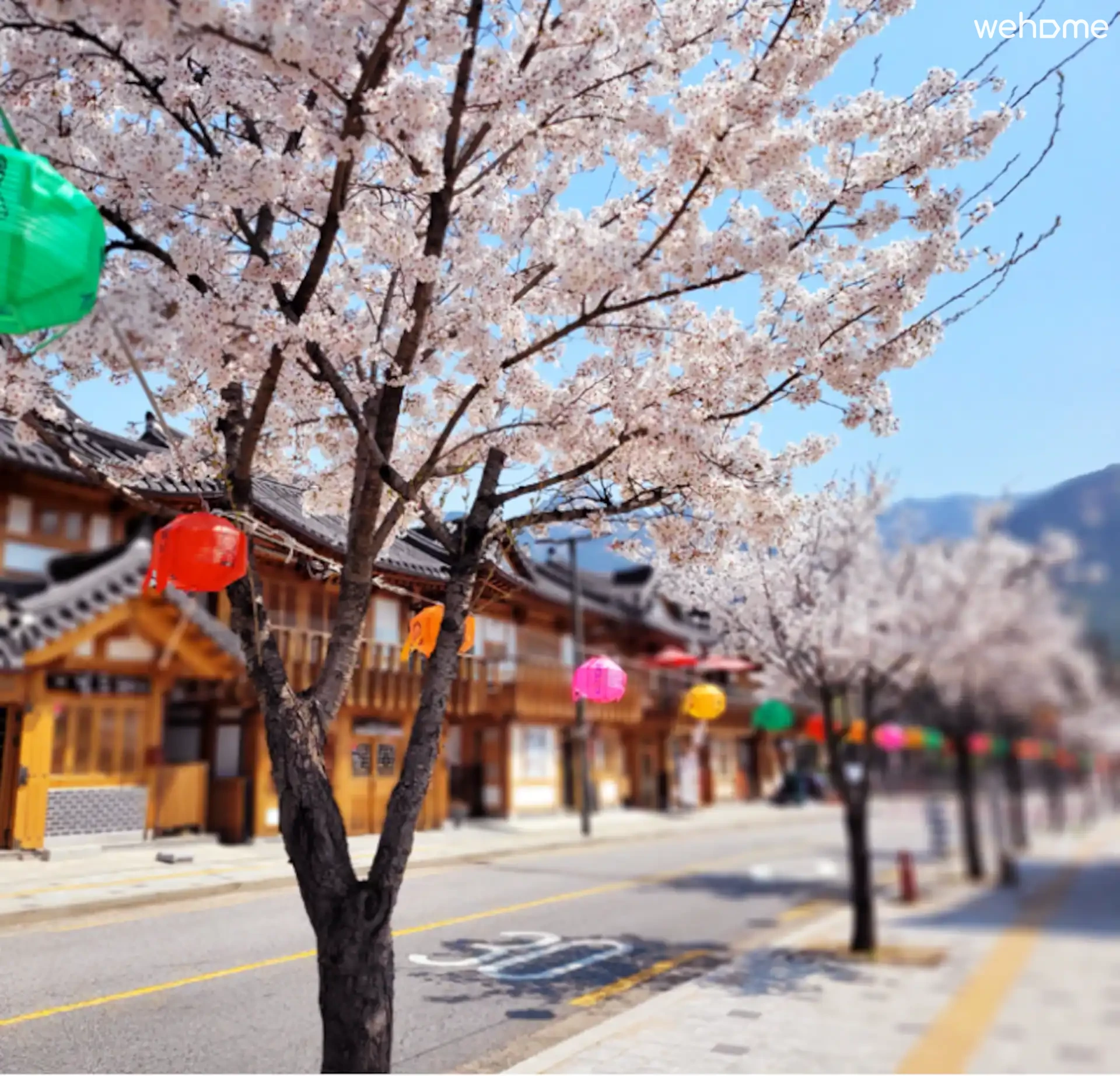 숙소 이미지 114