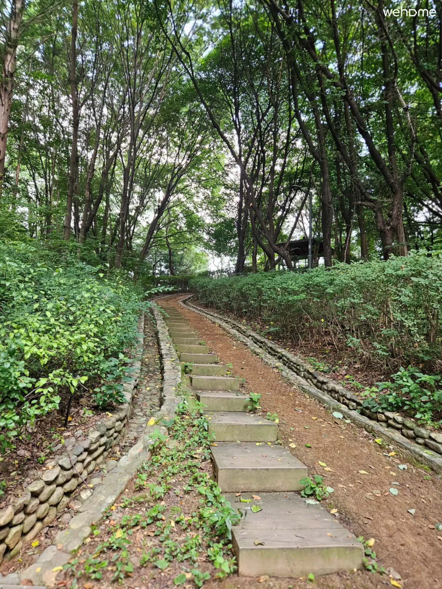숙소 이미지 50