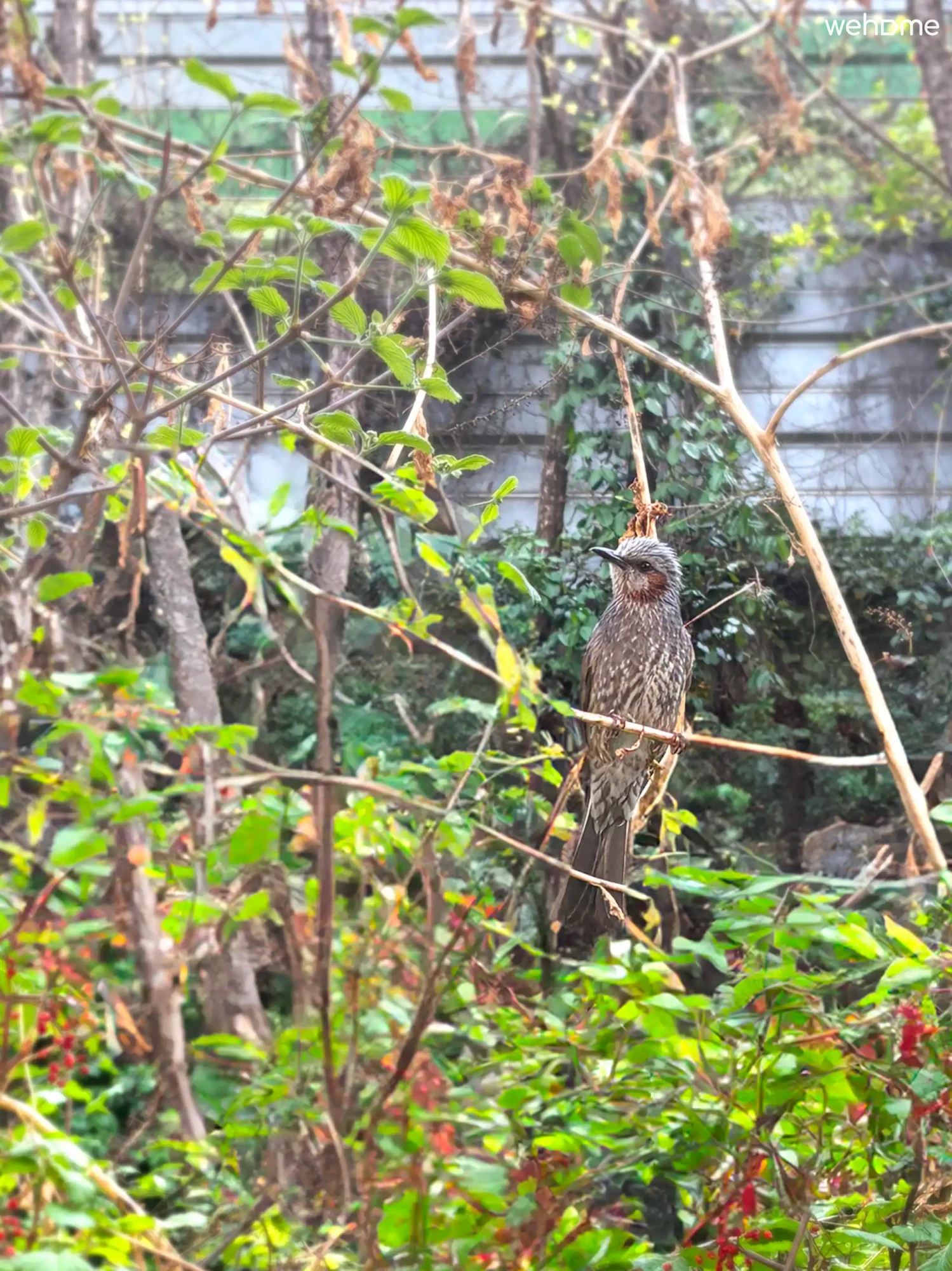 숙소 이미지 65