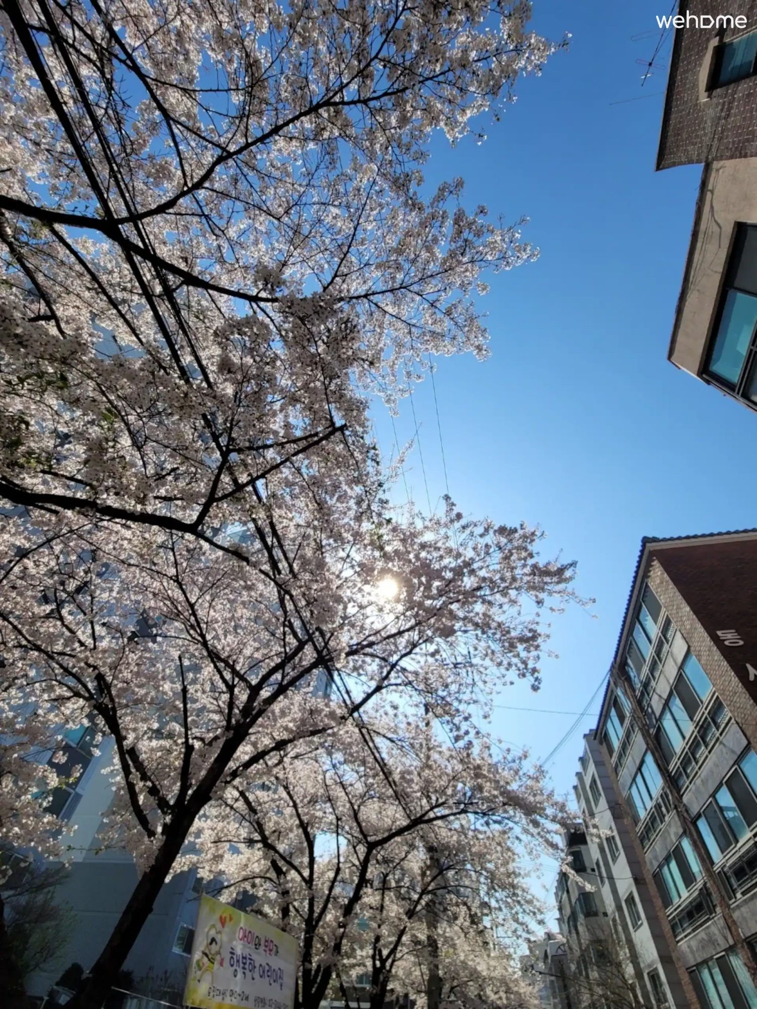 숙소 이미지 44