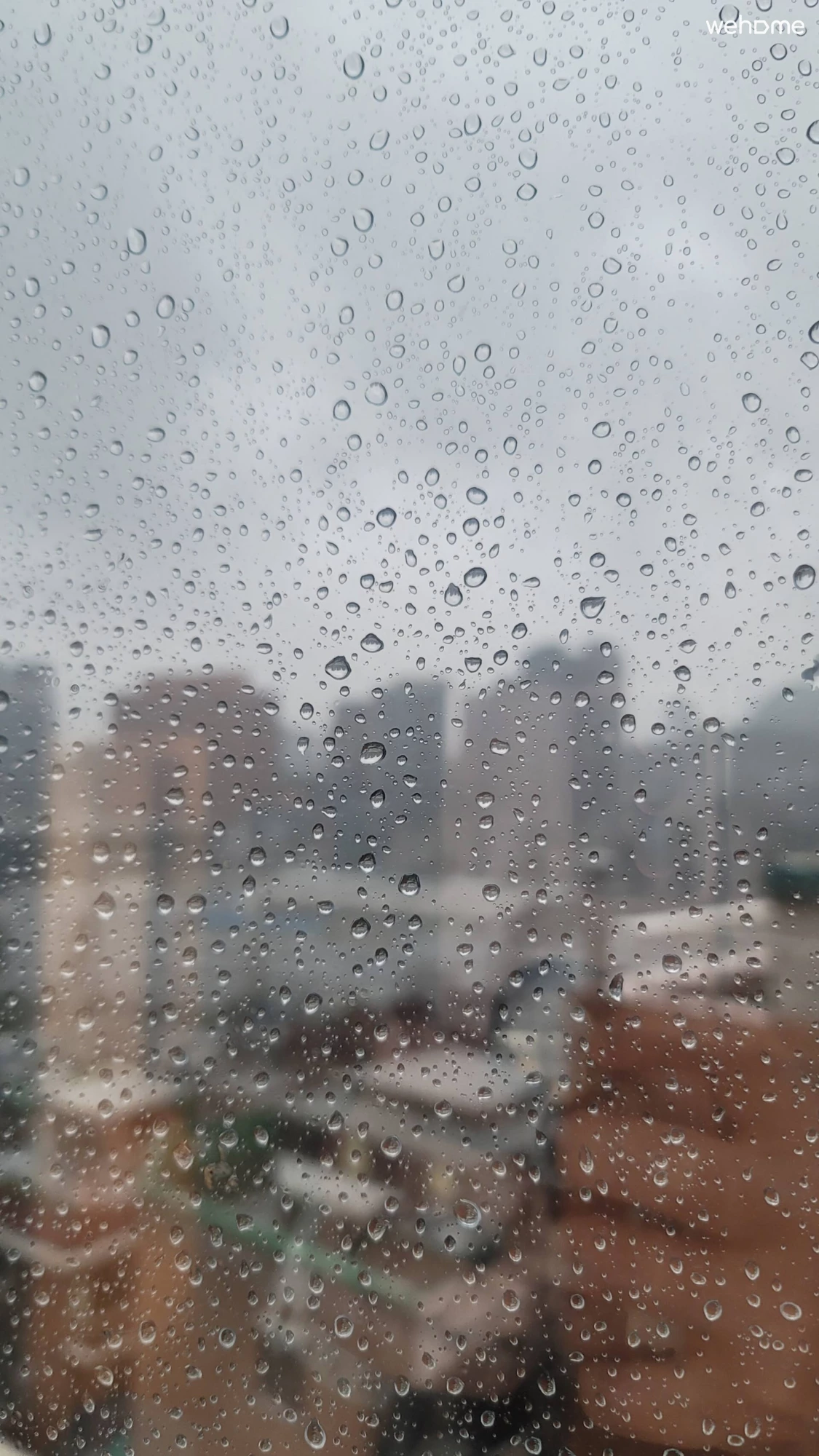 숙소 이미지 50