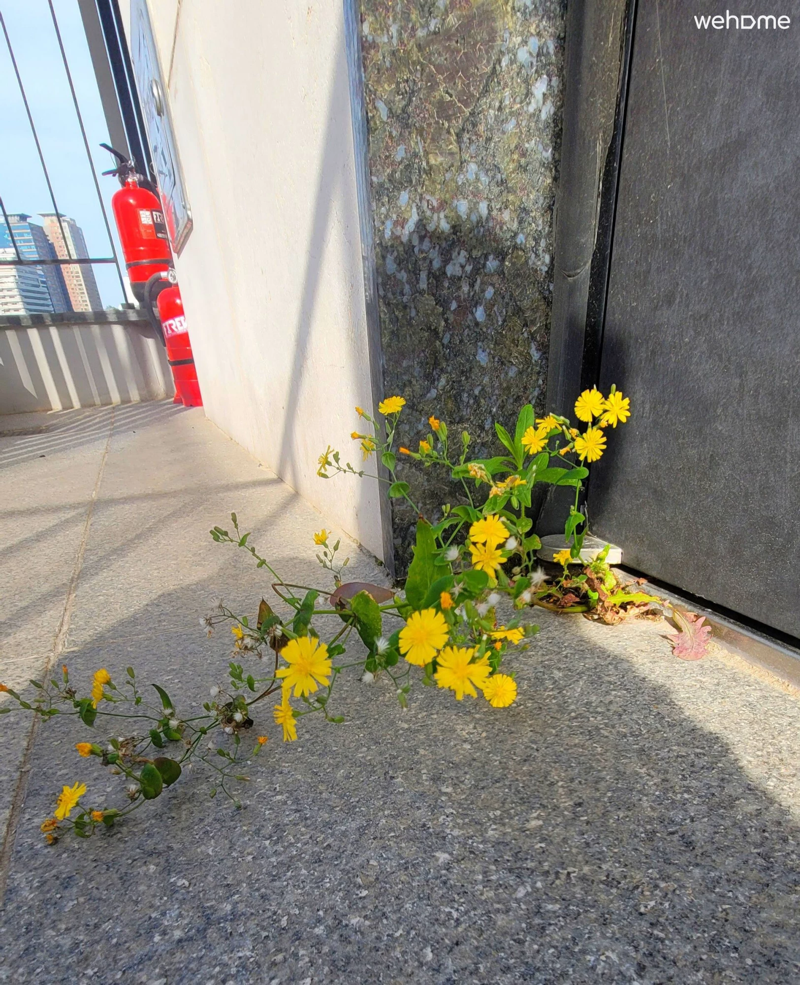 숙소 이미지 53