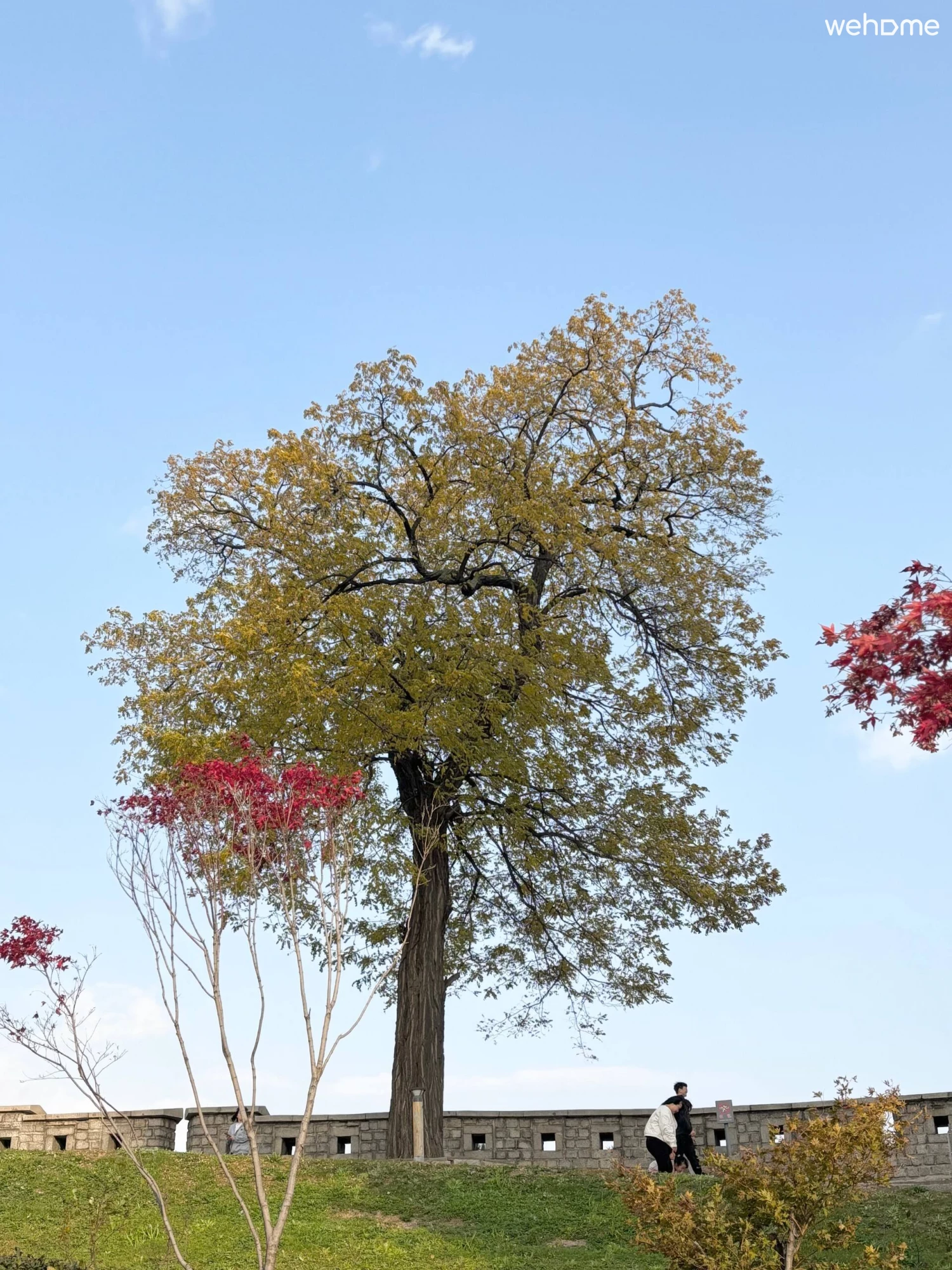 숙소 이미지 120