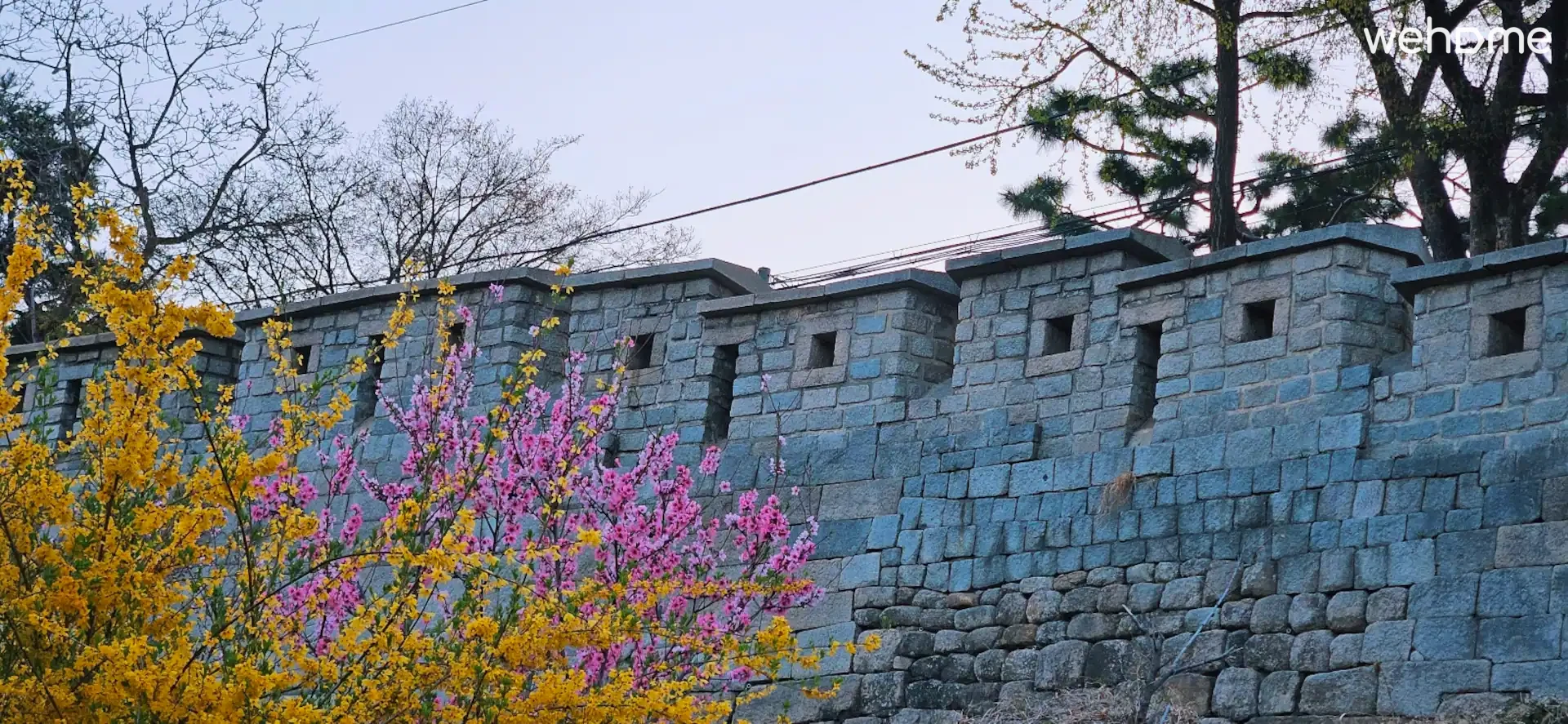 숙소 이미지 61