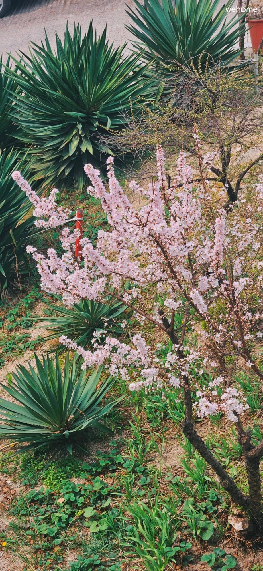 숙소 이미지 60