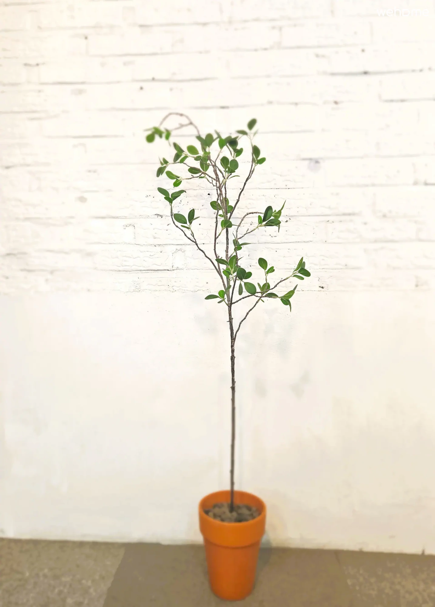 숙소 이미지 25
